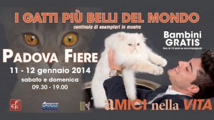 evento-padova