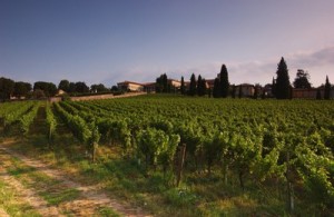 EXPO MILANO 2015: ONAV PRESENTA IL GIRO D’ITALIA IN SEI GRANDI VINI